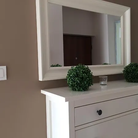 Apartment Przasnyska 7 *